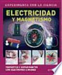 libro Electricidad Y Magnetismo